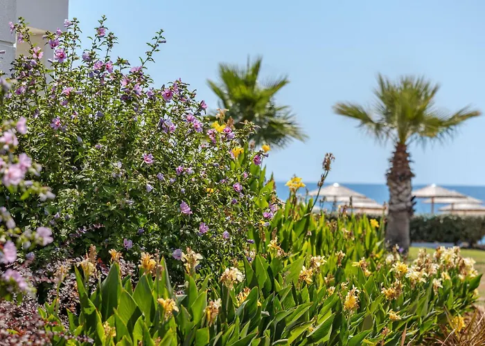 Blue Lagoon Queen 度假村 Kalyves Polygyrou