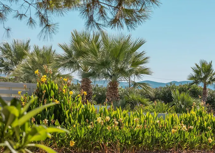 度假村 Blue Lagoon Queen