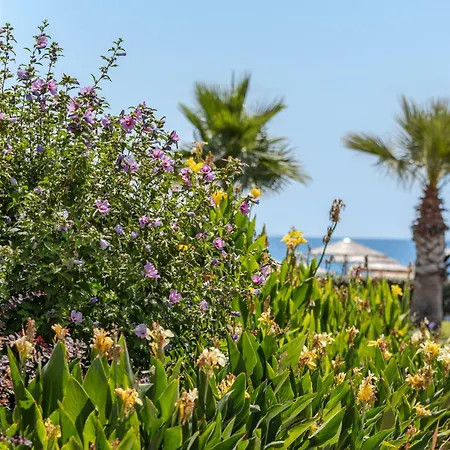 Blue Lagoon Queen Complex Kalyves Polygyrou