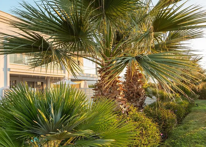 Blue Lagoon Queen Resort