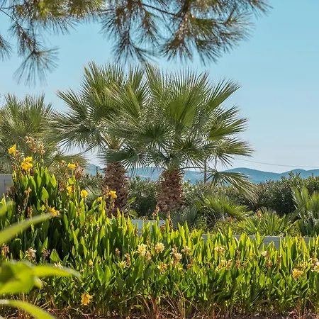 Resort Blue Lagoon Queen